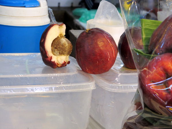 Tämä hedelmä näyttää vähän vesiomenalta, mutta sen muoto näyttäisi olevan pyöreämpi ja sisällä on iso kivi. Ehkä se silti on vesiomena.