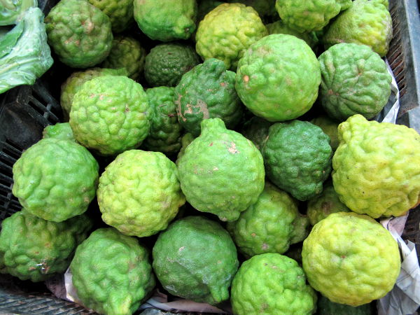 Kaffirlimettejä. Suomalaisille nämä ruttuiset limetit ovat tutuimpia niiden lehtien takia, koska ne ovat yksi thairuokien pääyrteistä. 