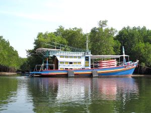 Kanoottien säilytysvene suistolla. 