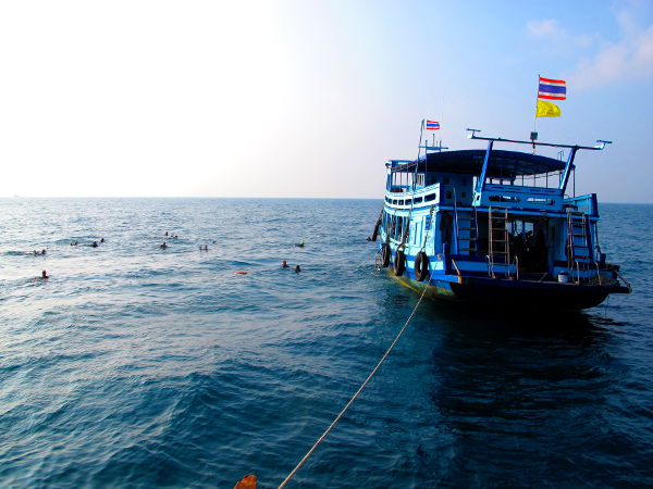 Sukelluspaatti ja sukeltajia meressä Southwest Pinnaclella. 