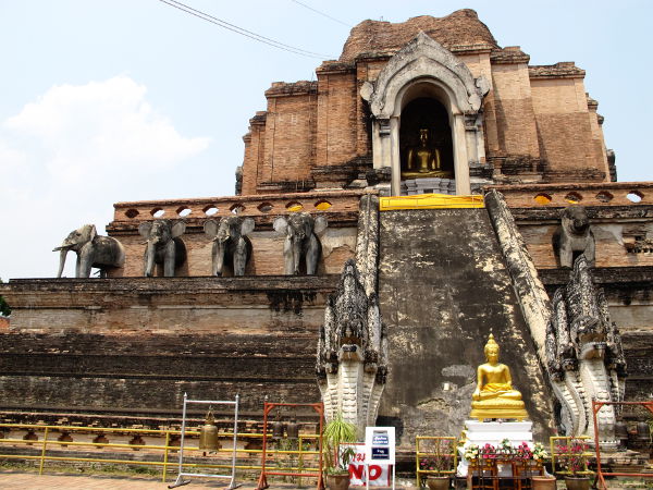Joitain chediä ympäröiviä norsupatsaita on säilynyt, samoin rappusten juurella olevia käärme-nagapatsaita. 