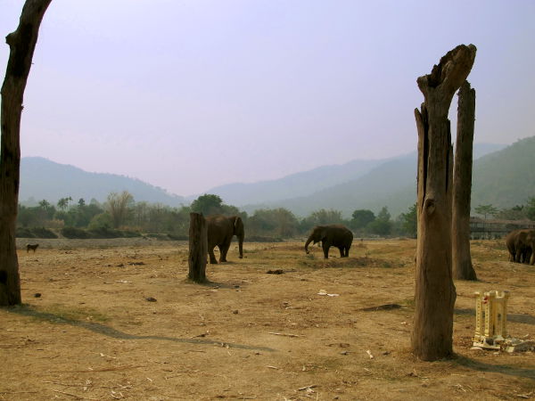 Osa Elephant Nature Parkissa vierailemisen hienoutta on maisemat. 