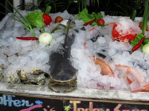 Inhoan Thaimaan rantapaikoissa iltaisin ravintolojen virittelemiä kala- ja grillaustiskejä. Minun on vaikea uskoa että kaikki se esille laitettu kala- ja äyriäismäärä tulee kenenkään ostettua ja niin paljon on turhaan merestä poistettu eläviä. 