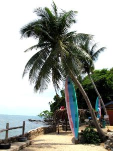 Kajakit roikkumassa palmuista Koh Lantan eteläpään kummassa majapaikassa. 