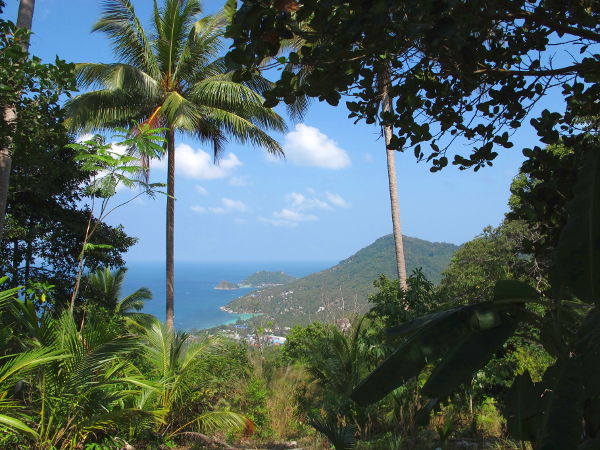 Bloggausvuoden aikana miltei kolmasosa kirjoituksista on koskenut Thaimaata. 