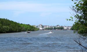 Krabi näkyy taustalla, kuva otettu mangrovepolun päätepisteessä olevalta laiturilta. Laituria vastapäätä joen toisella puolella olisi ollut luolasto, jossa kävimme vuosia sitten.