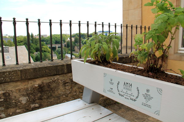 AM14-ravintolan terassia.