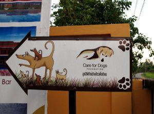 Kyltti tarhalle. Sinne ei ikävä kyllä pääse julkisilla kulkuneuvoilla ainakaan kovinkaan lähelle, joten vaihtoehtoina on asua niin lähellä tarhaa että sinne voi kävellä tai pyöräillä, tai mopoilla sinne kauempaa esimerkiksi Chiang Main keskustasta asti. Paikan vapaaehtoisten suosittelemien taksikuskien kyydissä pääsee kulkemaan 250 bahtilla suuntaansa. 