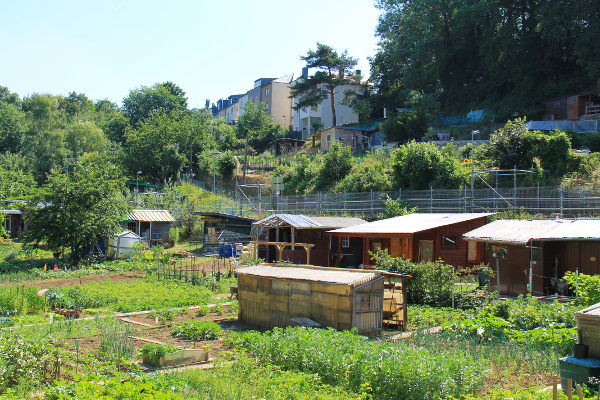 Lähellä Grundia on tällainen siirtolapuutarha.