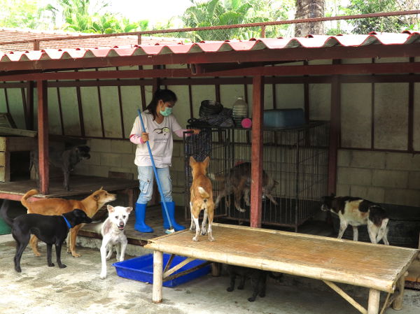 Työntekijä siivoamassa. 