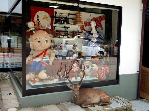 bambi näyteikkunalla