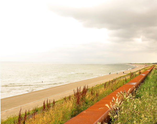 Hollannin rannikkoa. 