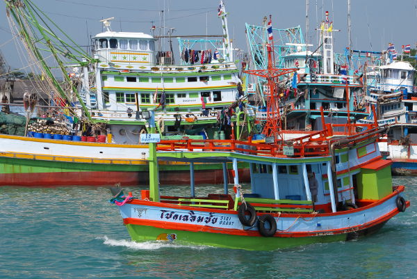 Värikkäitä kalastusveneitä satamassa.