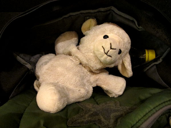 abashei käsimatkatavarana valmiina matkaan