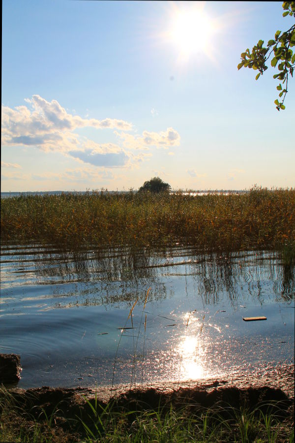 Ilta-aurinko Joensuussa. 