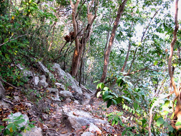 Polku rannalta toiselle.