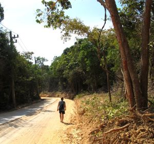 Tie saaren keskellä.