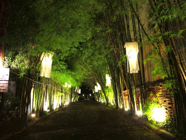 Johonkin toiseen chiangmailaiseen hotelliin johtava bambukuja. 