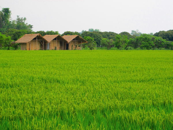 Lan Na tarkoittaa miljoonaa riisipeltoa. 