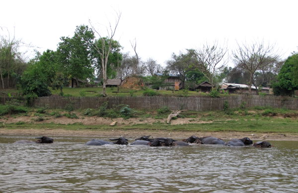 Vene pysähtyi jossain kylässä, jossa tarkoitus olisi varmaan ollut turisteina lähteä kiertelemään ja ostelemaan. Veneen kuski ei kuitenkaan ollut mikään opas eikä meille selvinnyt minkä heimon kylä oli kyseessä. Ja olimme enemmän kiinnostuneita puhveleista ja jäimme niitä rannalle tuijottelemaan. 