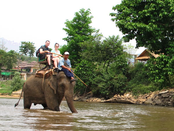 Vene pysähtyi norsuajelupaikassa, jossa muut kyytiläiset jäivät pois. Mutta tämä näky sai minut vain surulliseksi ja harmitti kun muut kyytiläiset menivät tuonne. 