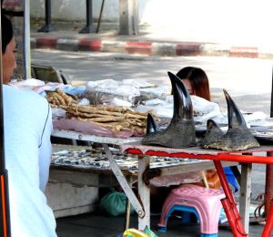 Välillä näkee inhottavia asioita.