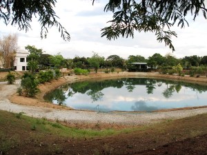Lampi aidatun alueen sisällä, jossa oli myös prameahko talo. Tämä näkymä on alle 1 km majapaikastani. 