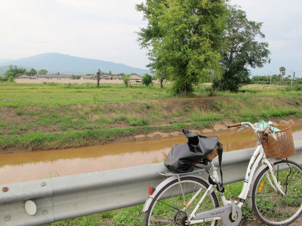 bicycle and mountain