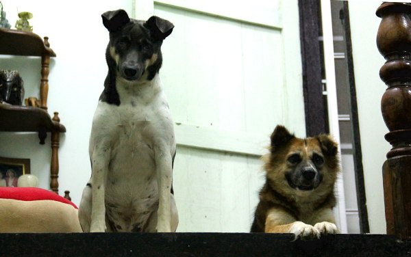 Vastaanottokomitea minun mieleeni. 