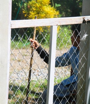 Bambukepillä on hyvä kolkutella - pysyy naapurin demonit kurissa. 