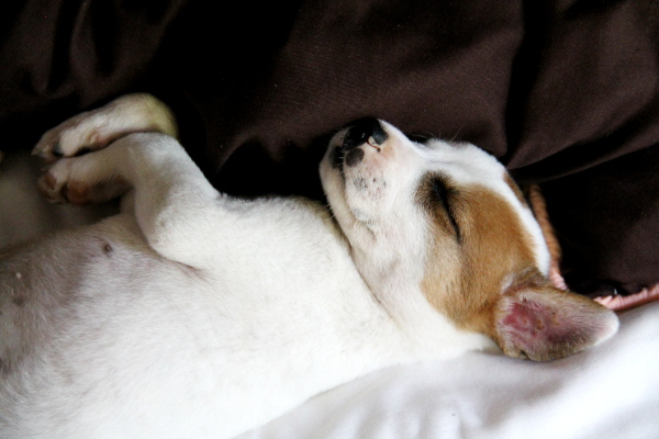 Pentu tänään kun nukkui hyvin. 