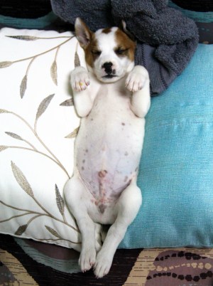 pentu retkottaa jalat koukussa_blogi