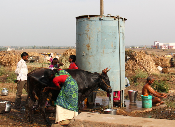Sokeritehdastyöläisten pesupaikka. 