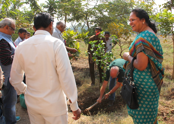 Aluksi istutettiin vierailurituaaleihin kuuluva puu. Tässä paikan saa kiinanruusu. 