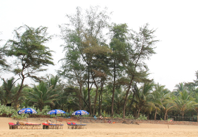 Agondan ranta ei ole Palolemin tapaan täyteen ahdettu, vaan välissä on jopa rakentamatonta puskaa. 
