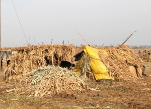 Intiassa on superrikkaita ihmisiä ja sitten jotkut ihmiset asuvat tällaisissa heinämökeissä. Sitten tämmöiset eriarvoisuudet perustellaan kaikenlaisella karmalla ja uudelleen syntymisillä, koska tosielämä on liian kamalaa kohdata.