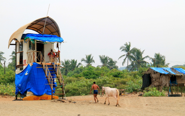 hengenpelastaja ja hevosenulkoiluttaja