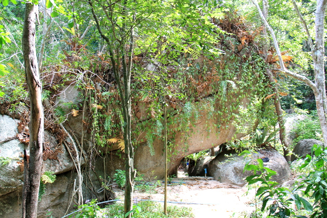 Lyhyen tunnelin muodostava iso kivi metsäpolun varrelta. 
