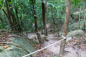 Joissain kohdissa metsäpolkua olisi laitettu köysiä könyämisen avuksi. 