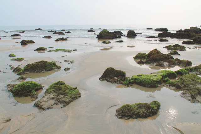 Kiviä Agondan rannan pohjoispäässä. 