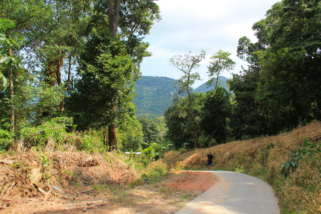 Paluumatkan maisemia. 