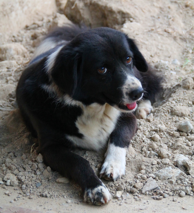 Avatar asuu Namonin kanssa. 