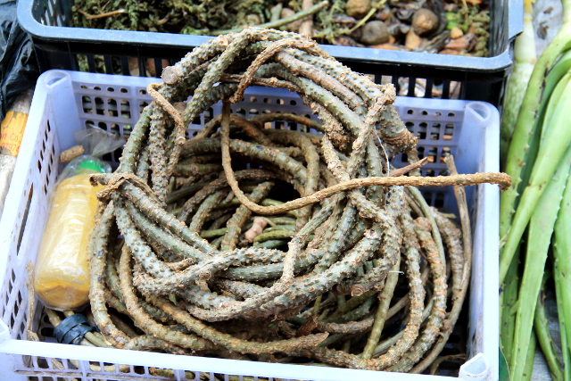 Ja tämä taitaa olla rottinkia eikä edes syötävää. 