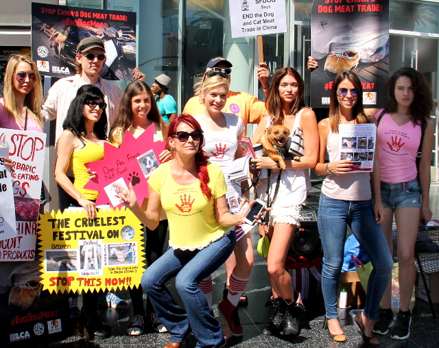 Kävimme Hollywood Boulevardilla mielenosoituksessa kiinalaista koiranlihafestivaalia vastaan. Meininki oli vähän erilaista kuin Suomessa tuon poseerauksen kanssa.