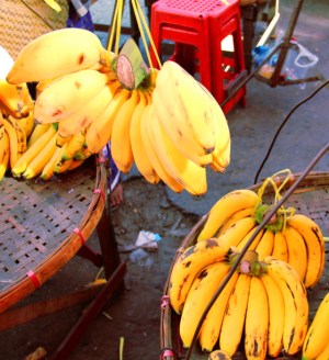 Tässä ylhäällä näkyviä pulleita banaaneja minun piti ostaa, niin mielenkiintoisen pulleita olivat. Mutta eivät erityisen makuisia ja olivat vähän mössöisempiä koostumukseltaan kuin useimmat muut banaanilaadut. 