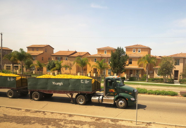 appelsiinirekka losin jälkeen