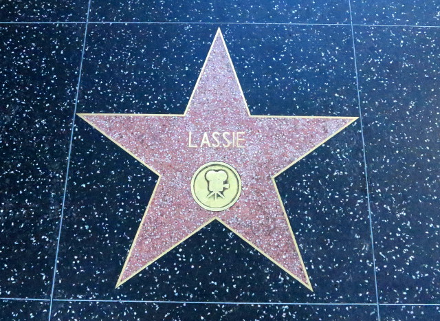 Palanen Walk of Famea.