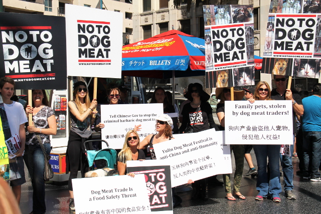 no to dog meat