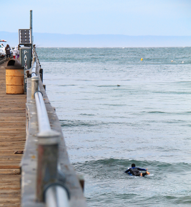 Surffaaja meni hyiseen veteen tuulisessa ja viileässä säässä. 