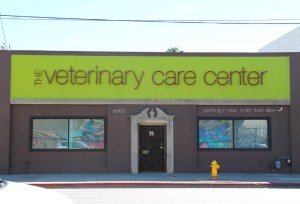 Jotenkin jännä, että eläinlääkäriasemat ja muut olivat näin pelkistettyjä. Ei mainoksia tai mitään ylimääräistä. Paikan nimi sentään näkyi hyvin.